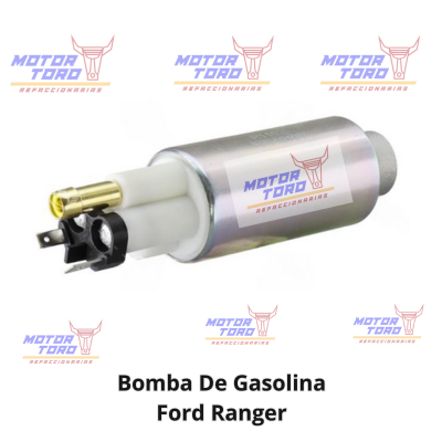 gasolina5